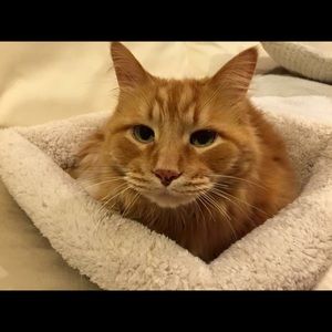 Meet your Posher, Max